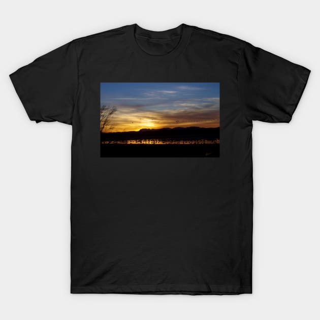 Peaceful Endings T-Shirt by VKPelham